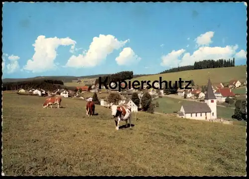ÄLTERE POSTKARTE SOMMERFRISCHE & WINTERSPORTPLATZ NEUKIRCH SCHWARZWALD FURTWANGEN KÜHE cows vaches Ansichtskarte AK cpa