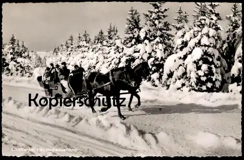 ÄLTERE POSTKARTE SCHLITTENFAHRT IM HOCHSAUERLAND SAUERLAND LUGE SLEDGE SLEIGH Neige Snow Horse Pferd Cheval postcard cpa