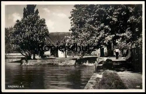 ALTE POSTKARTE HAGNAU AM BODENSEE HAFEN KASTANIE Ansichtskarte AK postcard cpa