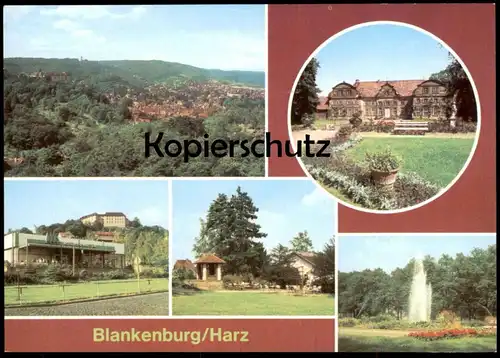 DREI ÄLTERE POSTKARTEN BLANKENBURG HEIMATMUSEUM PANORAMA THIEPARK SCHLOSS STADTPARK Postkarte Ansichtskarte postcard