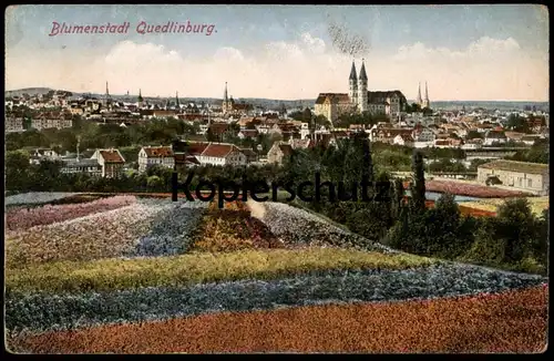 ALTE POSTKARTE BLUMENSTADT QUEDLINBURG IM HARZ BLUMEN BLUME flowers flower fleur fleurs AK Ansichtskarte cpa postcard