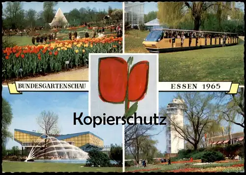 ÄLTERE POSTKARTE ESSEN BUNDESGARTENSCHAU 1965 BUGA BAHN ZUG TRAIN BLUMEN TULPEN Ansichtskarte AK postcard cpa