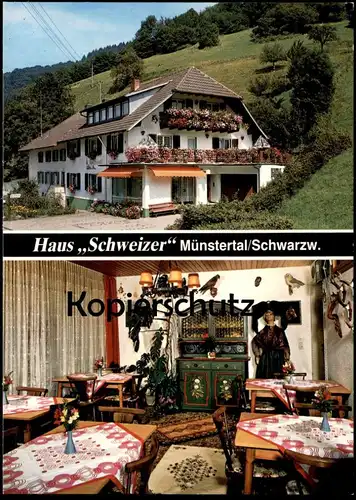 ÄLTERE POSTKARTE MÜNSTERTAL HAUS SCHWEIZER FAMILIE PFEFFERLE ROTENBUCK SCHWARZWALD EULE OWL Ansichtskarte postcard cpa