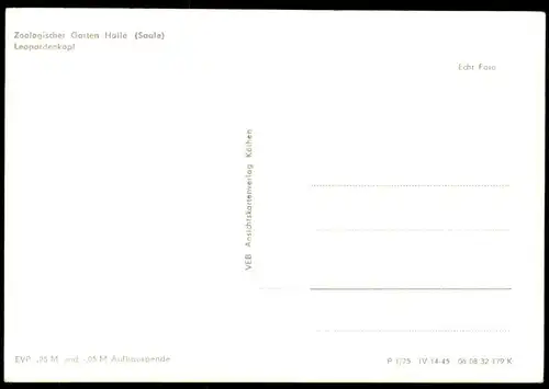 ÄLTERE POSTKARTE ZOOLOGISCHER GARTEN HALLE SAALE LEOPARDENKOPF LEOPARD ZOO TIERPARK JARDIN ZOOLOGIQUE PARQUE AK postcard