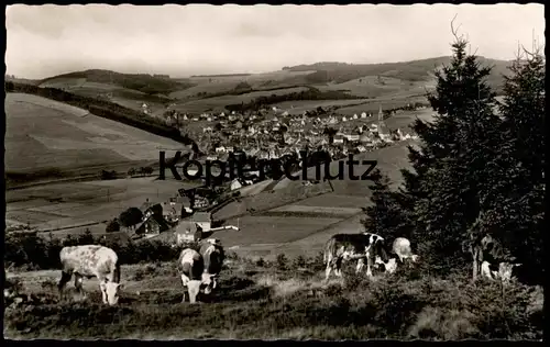 ÄLTERE POSTKARTE FURTWANGEN SCHWARZWALD PANORAMA KÜHE cows vaches Ansichtskarte AK cpa postcard