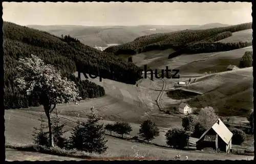 ÄLTERE POSTKARTE SCHÜTZENBACH PANORAMA FURTWANGEN 870 METER Ansichtskarte AK cpa postcard