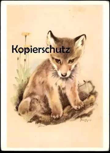 ÄLTERE POSTKARTE JUNGFUCHS MALER HANS LANG INNSBRUCK FUCHS fox renard Ansichtskarten AK cpa postcard