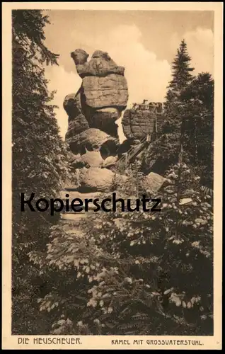 ALTE POSTKARTE DIE HEUSCHEUER KAMEL MIT GROSSVATERSTUHL 1922 Szczeliniec Wielki Polska Poland postcard cpa AK