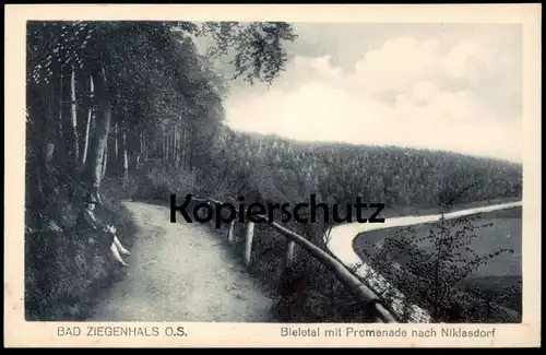 ALTE POSTKARTE BAD ZIEGENHALS BIELETAL MIT PROMENADE NACH NIKLASDORF SCHLESIEN Głuchołazy Polska Poland postcard cpa AK