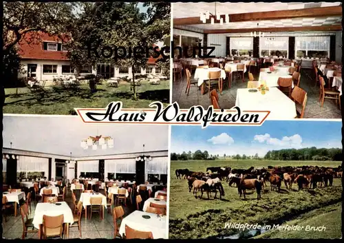 ÄLTERE POSTKARTE DÜLMEN BÖRNSTE HAUS WALDFRIEDEN GASTHAUS AM KURPARK BESITZER RATH-KNEPPER Ansichtskarte AK cpa postcard