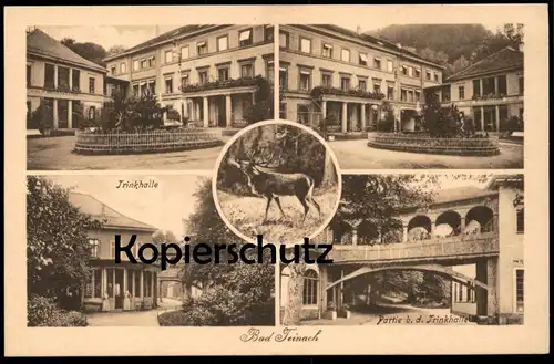 ALTE POSTKARTE BAD TEINACH PARTIE BEI DER TRINKHALLE RÖHRENDER HIRSCH cerf deer Schwarzwald Ansichtskarte postcard cpa