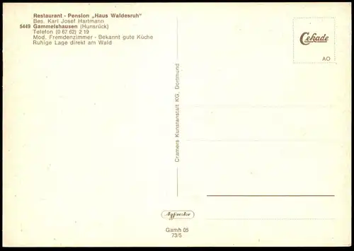 ÄLTERE POSTKARTE GAMMELSHAUSEN HUNSRÜCK PENSION WALDESRUH KARL JOSEF HARTMANN Hollnich Kastellaun Sinalco Ansichtskarte