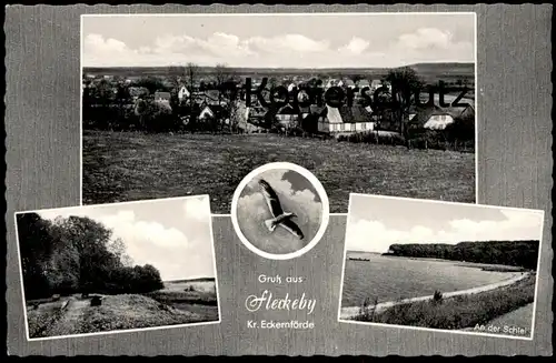 ÄLTERE POSTKARTE GRUSS AUS FLECKEBY KREIS ECKERNFÖRDE AN DER SCHLEI MÖWE VOGEL Ansichtskarte AK postcard cpa