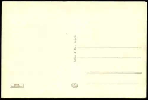 ALTE POSTKARTE ERFURT BLUMENSTADT CITADELLE CYRIAKSBURG GASTHAUS HOHE LILIE SORGE-ANLAGEN BAHNHOFSPLATZ STADTPARK AK cpa