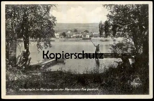 ALTE POSTKARTE HATTENHEIM IM RHEINGAU VON DER MARIANNEN-AUE GESEHEN ELTVILLE AM RHEIN STOCHERKAHN Ansichtskarte AK cpa