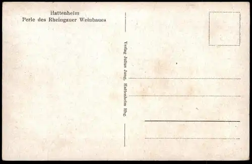 ALTE POSTKARTE HATTENHEIM IM RHEINGAU VON DER MARIANNEN-AUE GESEHEN ELTVILLE AM RHEIN STOCHERKAHN Ansichtskarte AK cpa