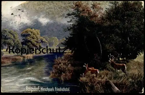 ALTE KÜNSTLER POSTKARTE RENGSDORF WALDBREITBACH HIRSCHPARK FRIEDRICHSTAL HIRSCH WIEDTAL Reh roe deer chevreuil AK cpa