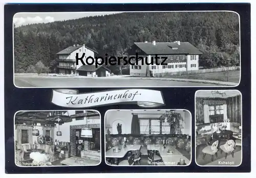 ÄLTERE POSTKARTE TREFFELSTEIN KATHARINENHOF HEUSTADEL KUHSTALL BAHNSTATION WALDMÜNCHEN TIEFENBACH Ansichtskarte AK cpa