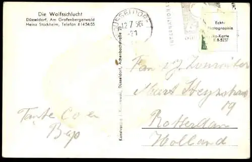 ALTE POSTKARTE DÜSSELDORF DIE WOLFSSCHLUCHT RESTAURANT TERRASSENGARTEN GRAFENBERGER WALD Ansichtskarte AK cpa postcard