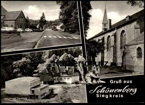 ÄLTERE POSTKARTE GRUSS AUS SCHÖNENBERG SIEGKREIS RUPPICHTEROTH SCHULE MIT TURNHALLE KIRCHE ORTSPARTIE VW KÄFER squirrel