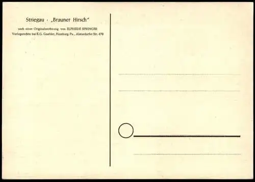 ÄLTERE POSTKARTE STRIEGAU BRAUNER HIRSCH NACH EINER ORIGINALZEICHNUNG VON ELFRIEDE SPRINGER STRZEGOM SCHLESIEN postcard