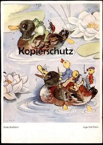 ALTE POSTKARTE PHANTASIE ERSTE AUSFAHRT FROSCH KÄFER ENTE GEKLEIDET INGE HOF-KLEIN frog beetle duck AK cpa postcard