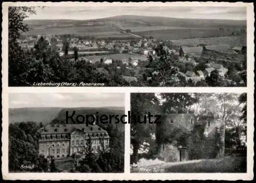 ÄLTERE POSTKARTE LIEBENBURG AM HARZ PANORAMA SCHLOSS ALTER TURM KREIS GOSLAR castle tower Ansichtskarte cpa AK postcard
