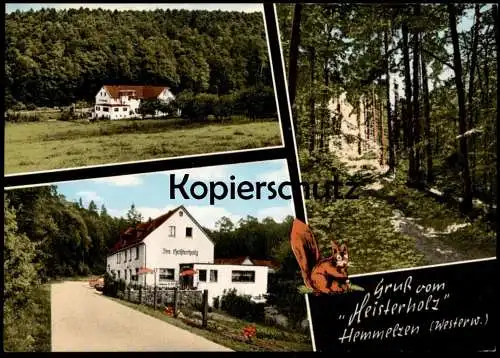 ÄLTERE POSTKARTE GRUSS VOM HEISTERHOLZ HEMMELZEN WESTERWALD EICHHÖRNCHEN ALTENKIRCHEN FLAMMERSFELD squirrel postcard AK