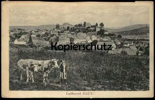 ALTE POSTKARTE LUFTKURORT DAUN EIFEL JUNGE MIT KÜHEN JUNGER MANN KUH KÜHE HIRTE PANORAMA Ansichtskarte AK cpa postcard