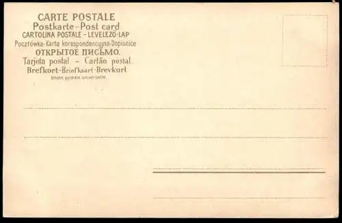 ALTE POSTKARTE AFFEN VERMENSCHLICHT AFFE KAMPF FIGHT STUDENTIKA ? monkey ape singe postcard cpa AK Ansichtskarte