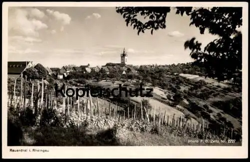 ALTE POSTKARTE RAUENTHAL IM RHEINGAU ELTVILLE WEINREBEN WEIN WEINSTÖCKE PANORAMA Ansichtskarte AK cpa postcard