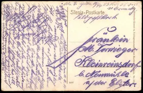 ALTE POSTKARTE MILOSLAW BAZANTERNIA FASANERIE 1914 Wielkopolska Polska Polen Poland Ansichtskarte AK cpa postcard