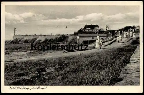 ALTE POSTKARTE INSEL OIE WEG ZUM STRAND GREIFSWALDER OIE Ostsee Mecklenburg-Vorpommern Ansichtskarte AK postcard cpa