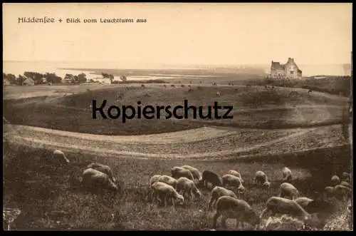 ALTE POSTKARTE INSEL HIDDENSEE BLICK VOM LEUCHTTURM AUS PANORAMA Schafe sheep mouton AK Ansichtskarte postcard cpa