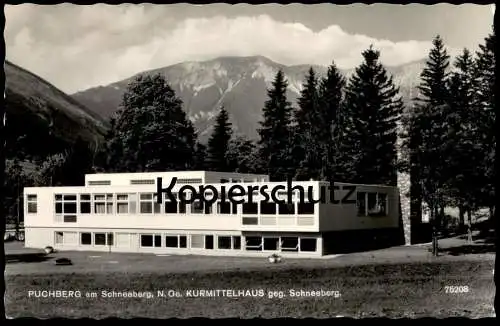 ÄLTERE POSTKARTE PUCHBERG AM SCHNEEBERG KURMITTELHAUS GEGEN SCHNEEBERG Ansichtskarte AK cpa postcard