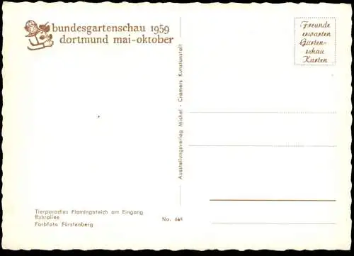 ÄLTERE POSTKARTE DORTMUND BUGA 1959 TIERPARADIES FLAMINGOTEICH Flamingo Flamingos Flamant postcard Ansichtskarte AK cpa