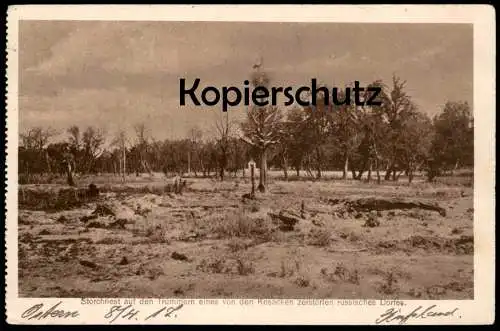 ALTE POSTKARTE STORCHNEST AUF DEN TRÜMMERN EINES VON KOSAKEN ZERSTÖRTEN DORFES RUSSLAND torchennest Storch stork's nest