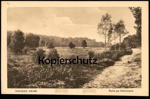 ALTE POSTKARTE WAHNER HEIDE PARTIE AM MÜHLENTEICH TEICH PANORAMA WAHN-HEIDE KÖLN Ansichtskarte AK cpa postcard