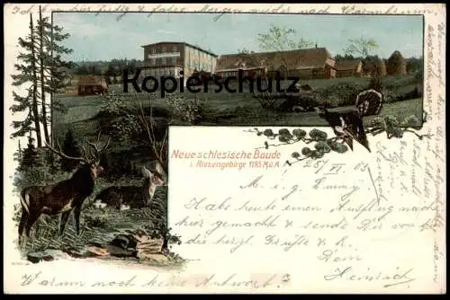 ALTE POSTKARTE NEUE SCHLESISCHE BAUDE HIRSCH REH AUERHAHN STEMPEL GUSTAV ALDOPH RIESENGEBIRGE Schlesien postcard cpa AK