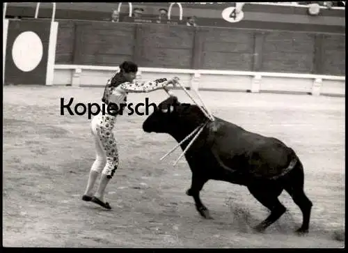 ALTES ORIGINAL FOTO STIERKAMPF PALMA DE MALLORCA BANDERILLERO STIER ISLAS BALEARES LA CORRIDA TOROS TORERO PHOTO