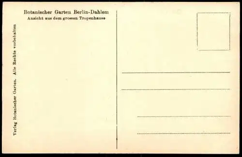 ALTE POSTKARTE BOTANISCHER GARTEN BERLIN DAHLEM ANSICHT AUS DEM GROSSEN TROPENHAUS TROPEN Botanik Pflanzen botany garden