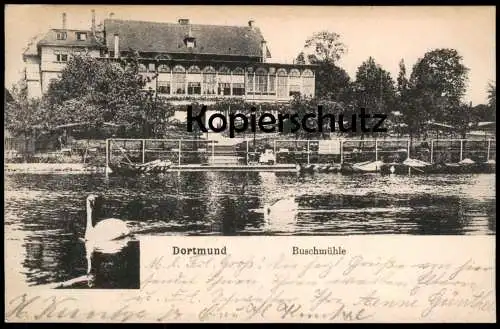 ALTE POSTKARTE DORTMUND BUSCHMÜHLE 1905 TEICH SEE SCHWAN BOOTE Ansichtskarte AK postcard cpa