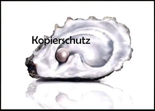 ÄLTERE POSTKARTE MUSCHEL AUSTER PERLE oyster huitre sea shell coquillage de mer cpa postcard AK Ansichtskarte