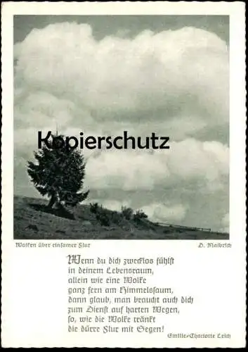 ALTE KÜNSTLER POSTKARTE WOLKEN ÜBER EINSAMER FLUR GEDICHT EMILIE-CHARLOTTE LEICH BISCHOF & KLEIN LENGERICH Ansichtskarte