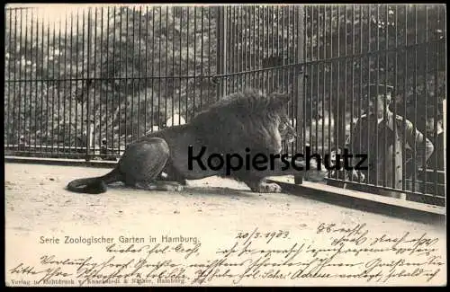 ALTE POSTKARTE ZOOLOGISCHER GARTEN HAMBURG LÖWE WÄRTER ZOO Käfig Tiergarten lion Tier animal Ansichtskarte cpa postcard