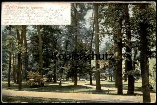 ALTE POSTKARTE BERLIN PARTIE IM TIERGARTEN 1904 PARK TIERPARK Ansichtskarte AK cpa postcard