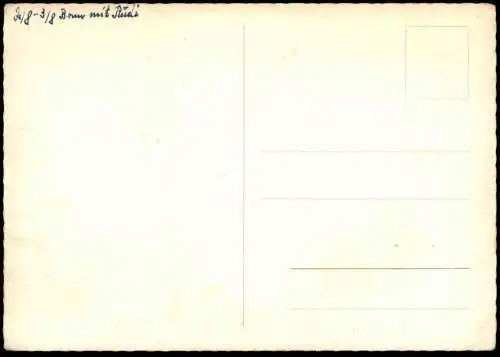 ÄLTERE POSTKARTE BONN AM RHEIN RHEINUFER SCHIFF VERONA SCHIFFE DAMPFER Ansichtskarte AK postcard cpa
