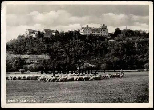 ALTE POSTKARTE QUERFURT SCHLOSS VITZENBURG SCHAFE SCHAF SCHÄFER MIT HÜTEHUNDEN castle Ansichtskarte AK cpa postcard