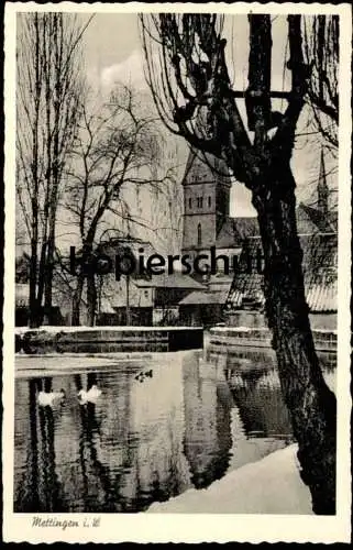 ÄLTERE POSTKARTE METTINGEN WESTFALEN TEICH SCHWÄNE Ansichtskarte AK postcard cpa