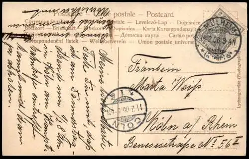 ALTE POSTKARTE MÄDCHEN KATZENBABY KATZE Kätzchen Katzen cats chat cat girl fille Kind child cpa postcard Ansichtskarte